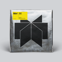 13" Dual Pocket Outer Sleeve LP