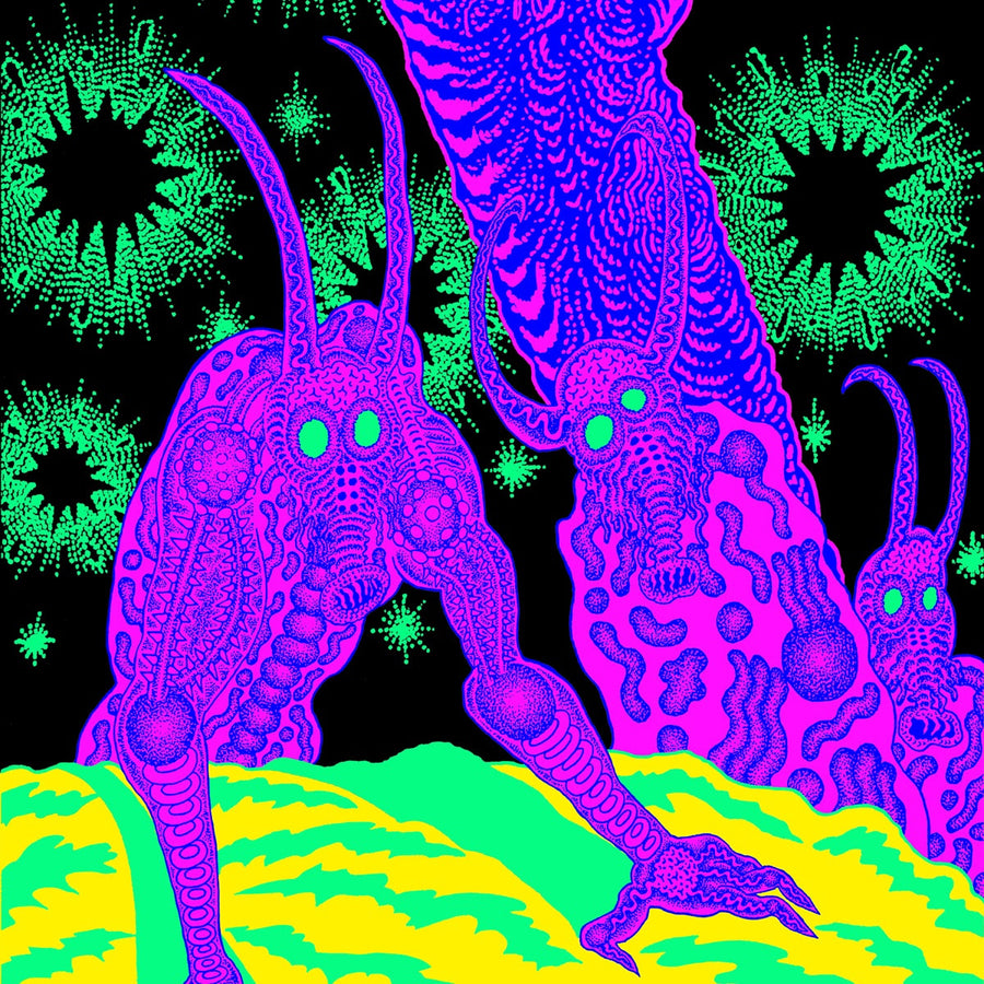 Osees - Abomination Revealed At Last
